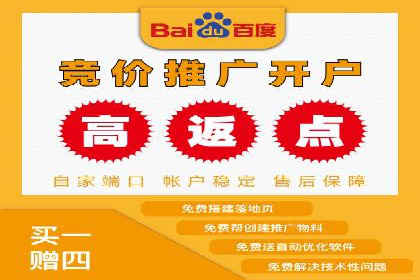 网络推广策略：竞价广告的实践案例